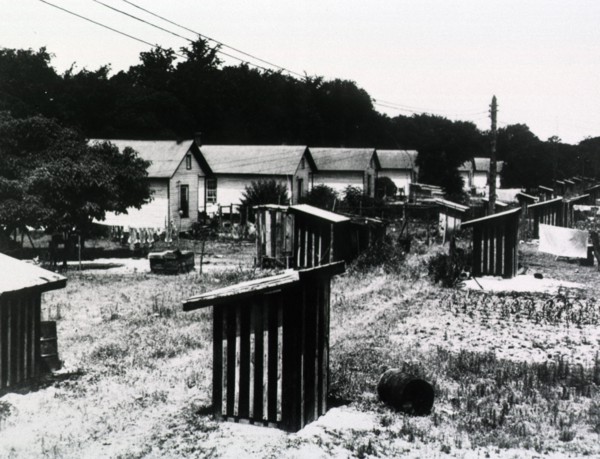 Sanitary privies