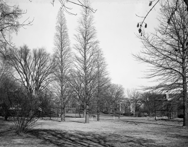 White House Tennis Court ca. 1905