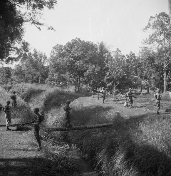 A soldier crosses a stream or ditches through a tree trunk covered by other soldiers, 1947, Indonesia