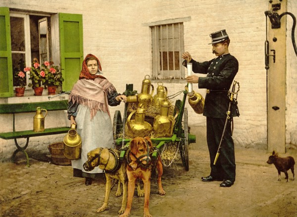A Brussels milkmaid ca. 1890-1900