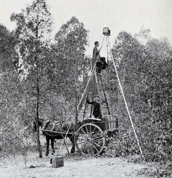 An Orthinologist taking photos of birds ca. 1901