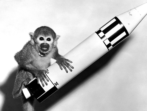 Monkey Baker, payload of Jupiter (AM-18), poses on a model of the Jupiter vehicle, May 29, 1959