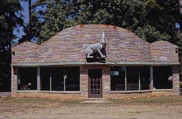 1970s America -   Brown's Taxidermy Studio, El Dorado, Arkansas 1979