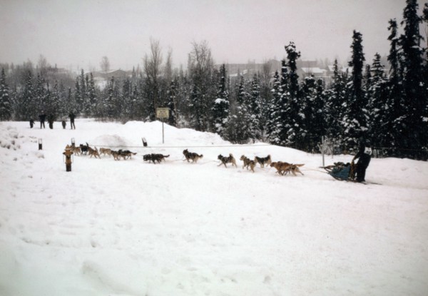 Starting Line-1974 Iditarod Race ca. March 1974