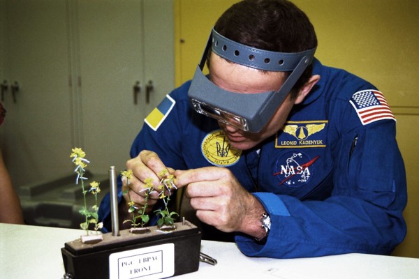 STS-87 Payload Specialist Leonid Kadenyuk of the National Space Agency of Ukraine (NSAU) ca. 1997