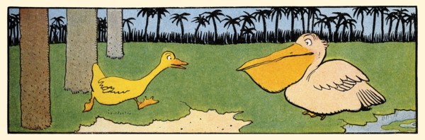 Gedeon Runs to a Pelican