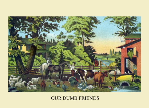 Our Dumb Friends