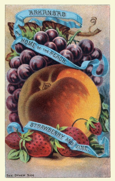 Arkansas, the home of the peach, strawberry and vine.