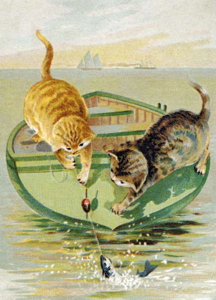 Cat Fishing
