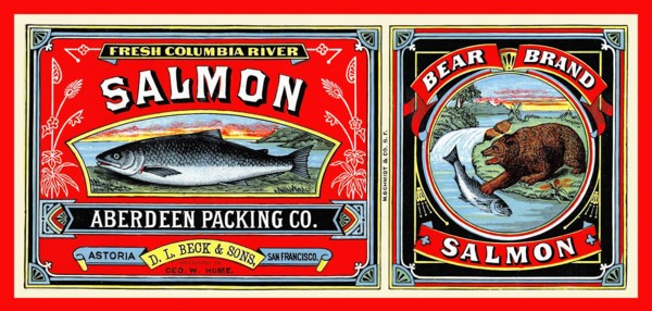 Bear Brand Salmon