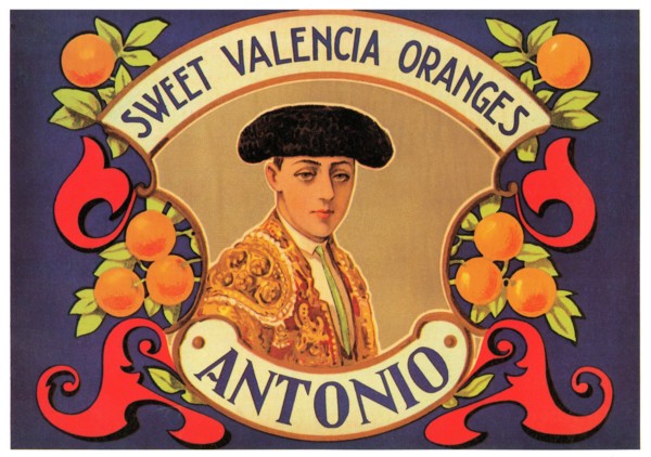 Antonio Sweet Valencia Oranges