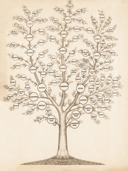 Grammar tree