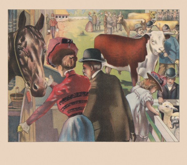 Animal Fair
