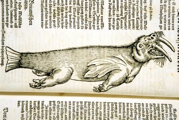 Illustration