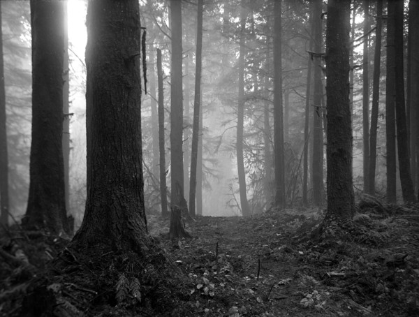 Photographie
