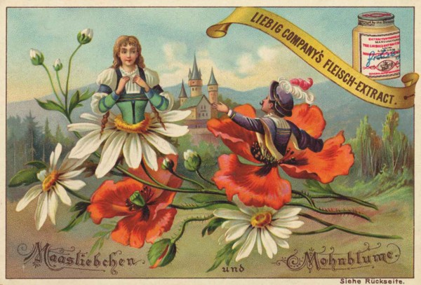 Flowers And Legends Series
