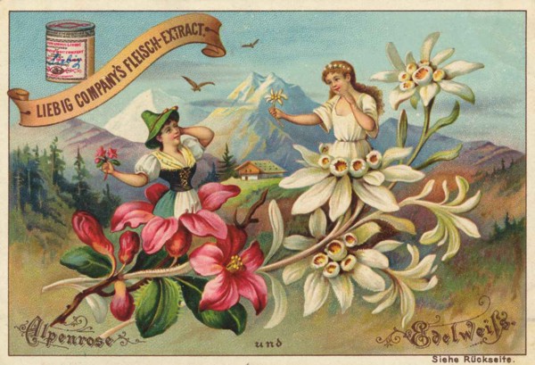 Flowers And Legends Series