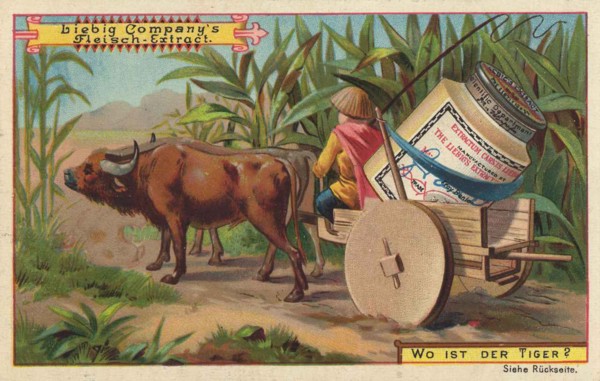 Series Of Images The Search