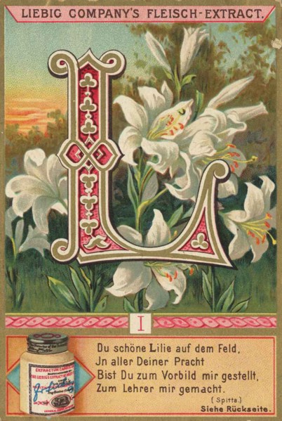 Picture Series Letters And Plants