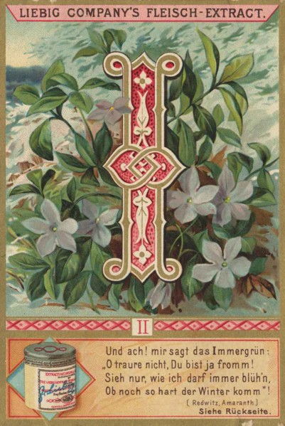 Picture Series Letters And Plants
