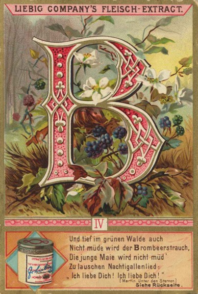 Picture Series Letters And Plants