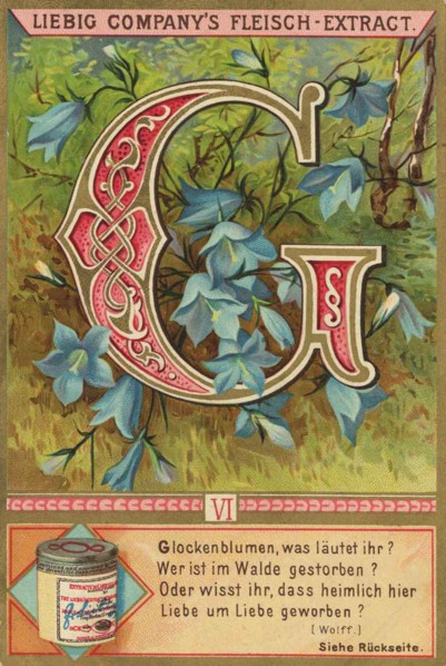 Picture Series Letters And Plants