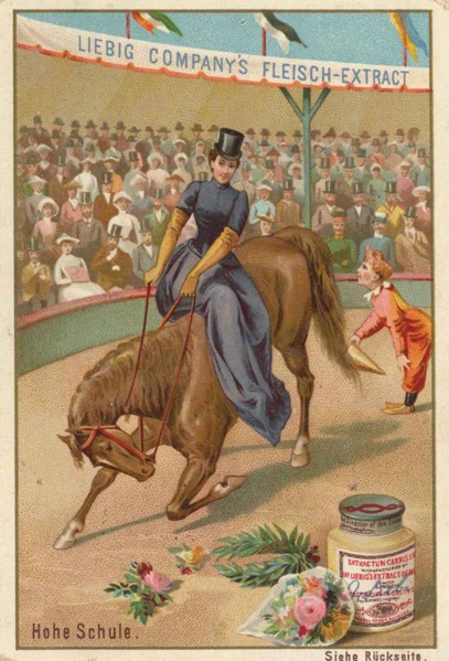 Series Horse Training In The Circus