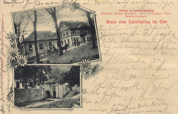 Greetings From The Lutterspring In The Elm