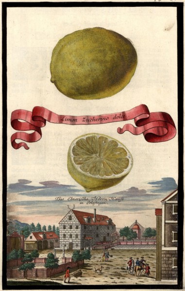 Limon Zucherino Dolce And The Ebner Manor House In Erlastegen