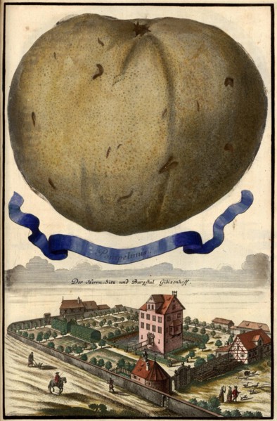 Pompelmus And Burgstall Gibizenhof