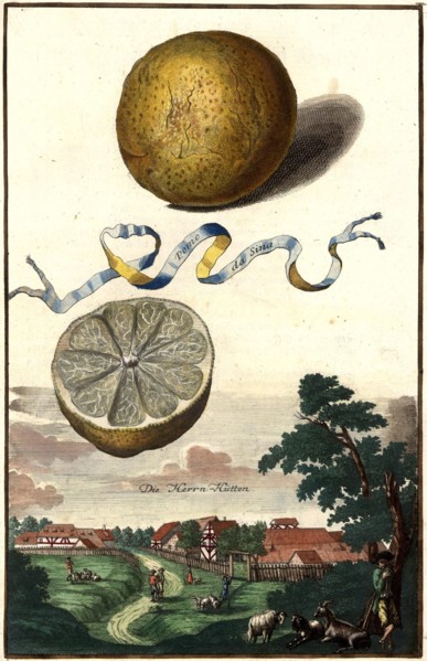 Pomo Da Sina And Herrnhütten