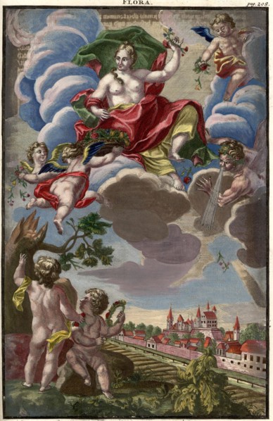 Flora