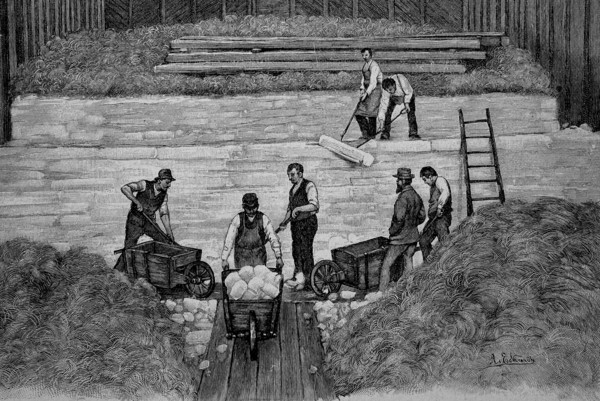 Worker In Ice Color Storage Room