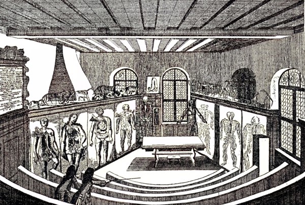 Anatomical Theater In The University / Anatomical Theater In The University Of Altdorf