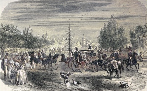 Alameda Nueva