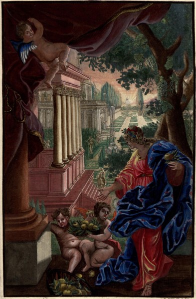 Hesperthusa