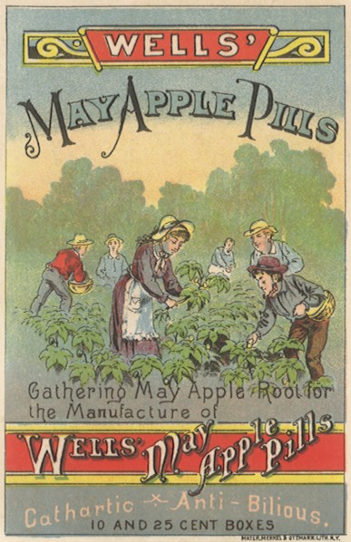 Farming Roots