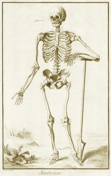 Skeleton and Shovel