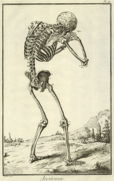 Skeleton Hunched Over