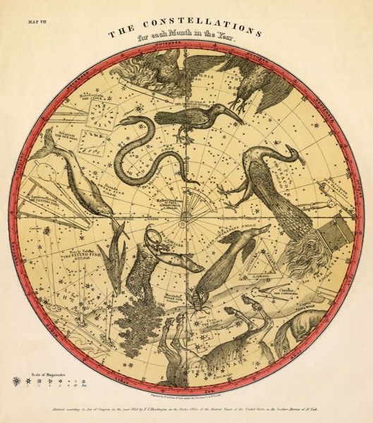 Constellation Chart