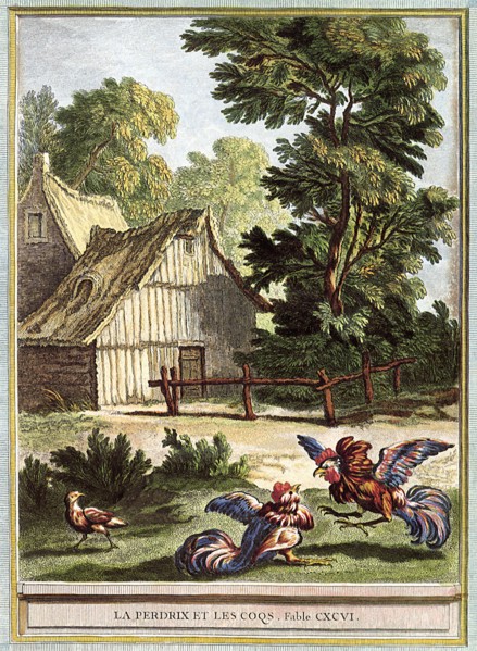 Partridge and Roosters