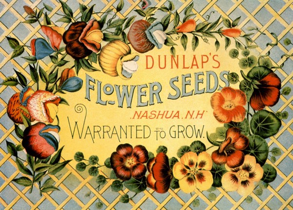 Dunlap's Flower Seeds.