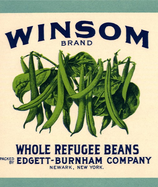 String Bean Label.