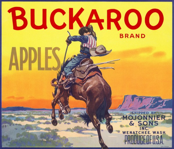 Bucking Bronco.