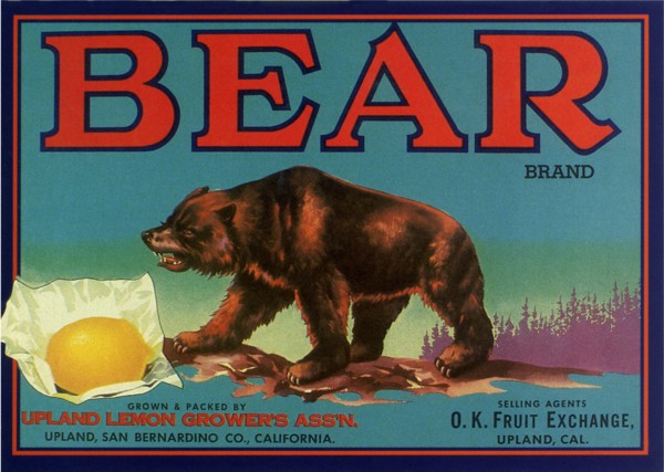Bear Fruit Label.