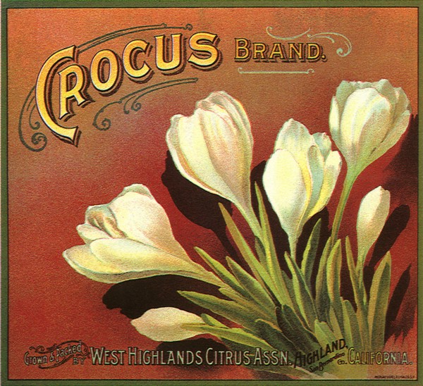 Crocus Fruit Label.
