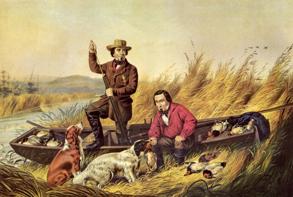 Wild Duck Shooting- A Good Day's Sport.