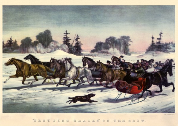 Trotting Cracks on The Snow.