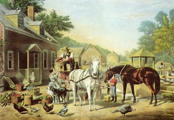 Farm Yard.