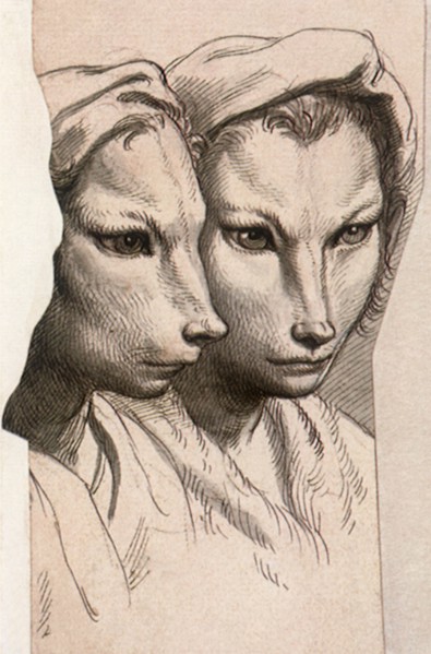 Physiognomic Heads Inspired by a Weasel.